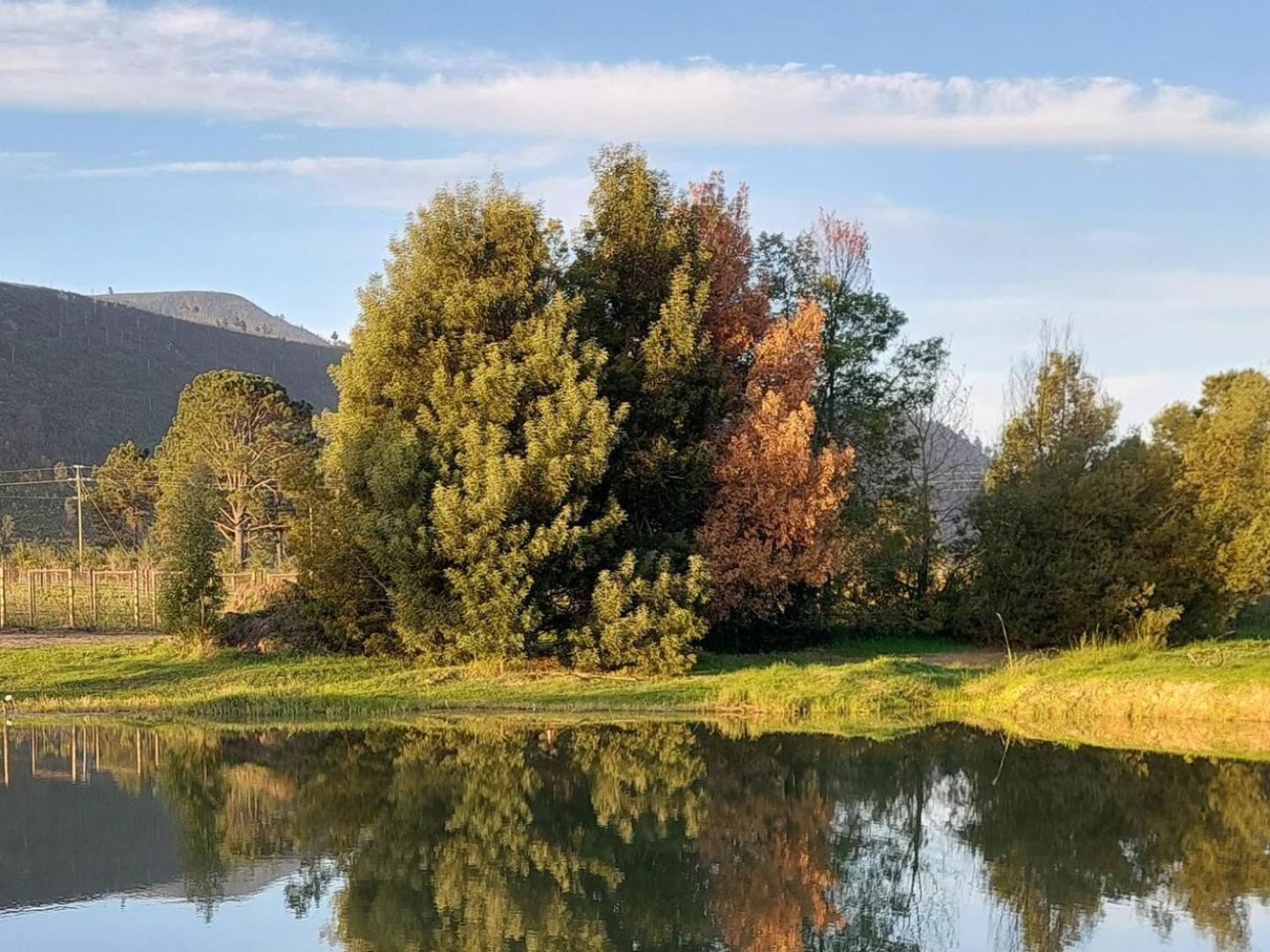 20 Good Summers Farm Stay The Crags Dış mekan fotoğraf