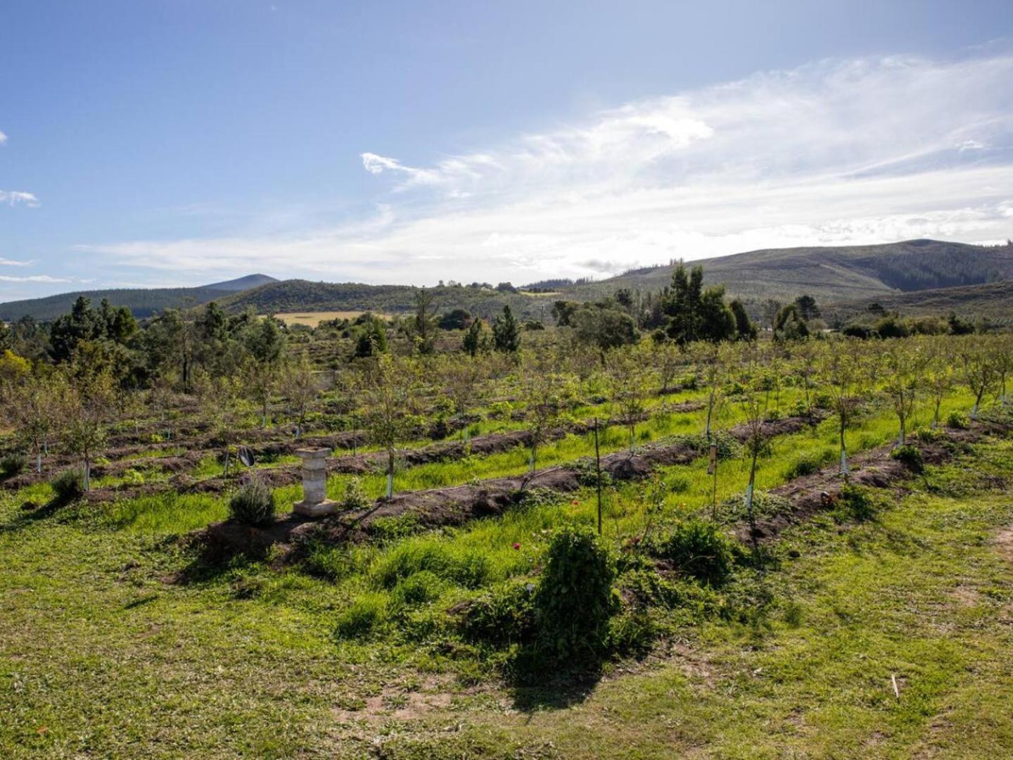 20 Good Summers Farm Stay The Crags Dış mekan fotoğraf