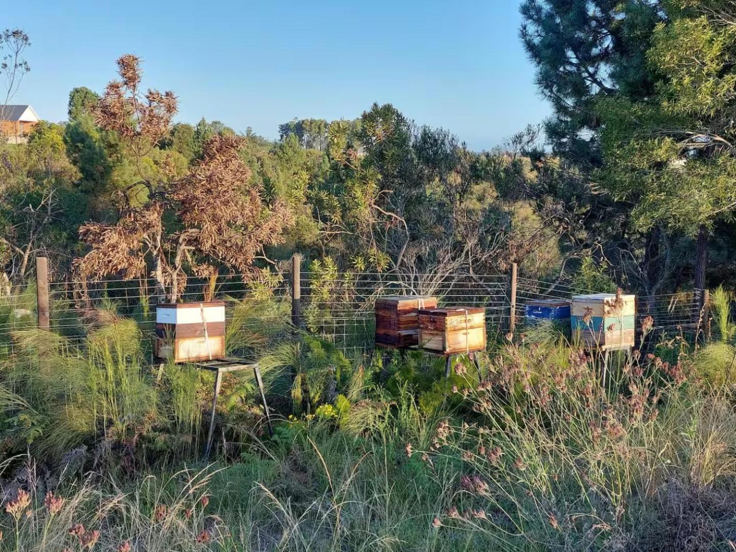 20 Good Summers Farm Stay The Crags Dış mekan fotoğraf