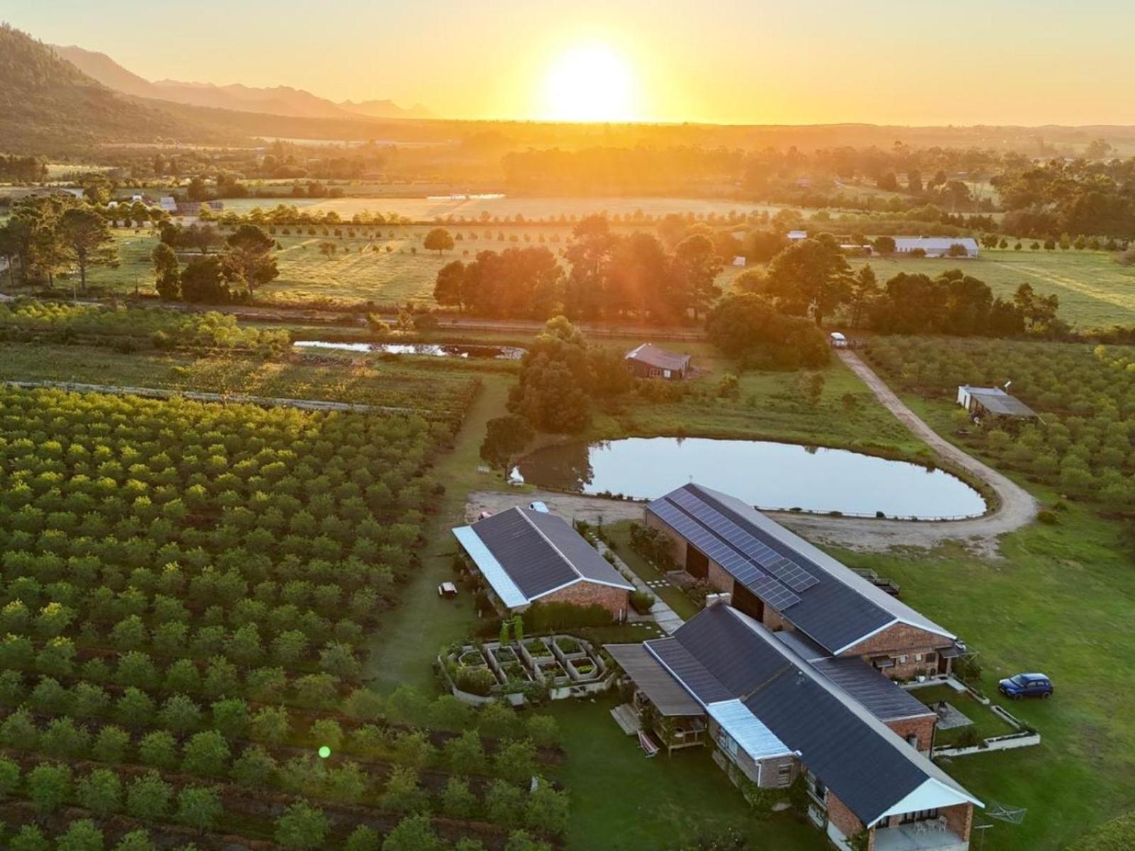 20 Good Summers Farm Stay The Crags Dış mekan fotoğraf