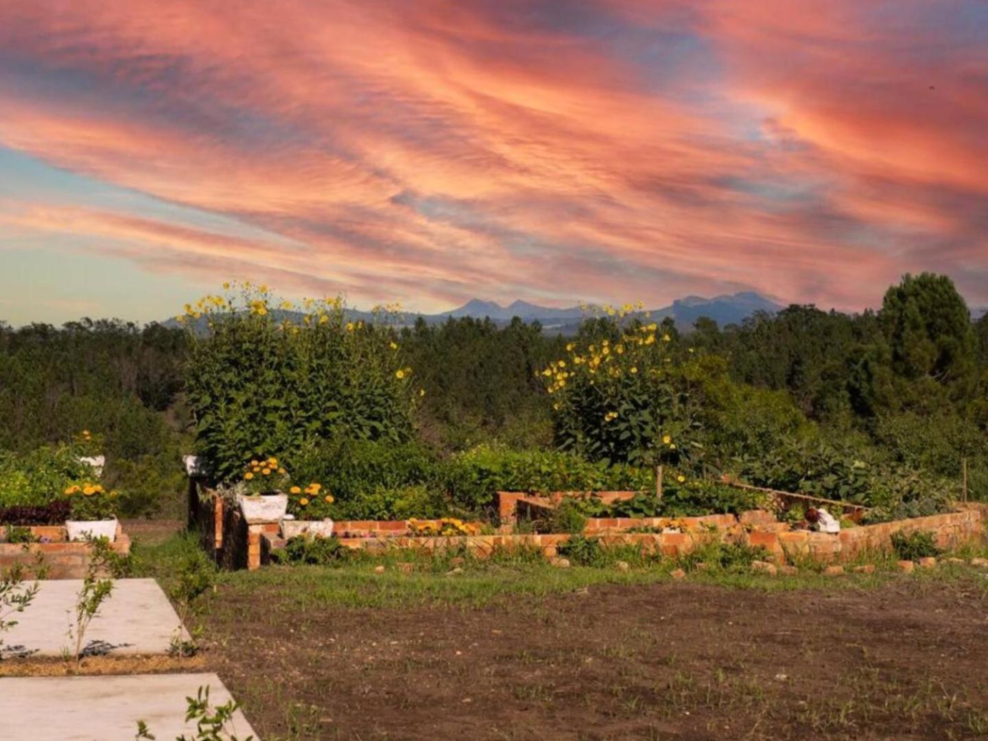 20 Good Summers Farm Stay The Crags Dış mekan fotoğraf