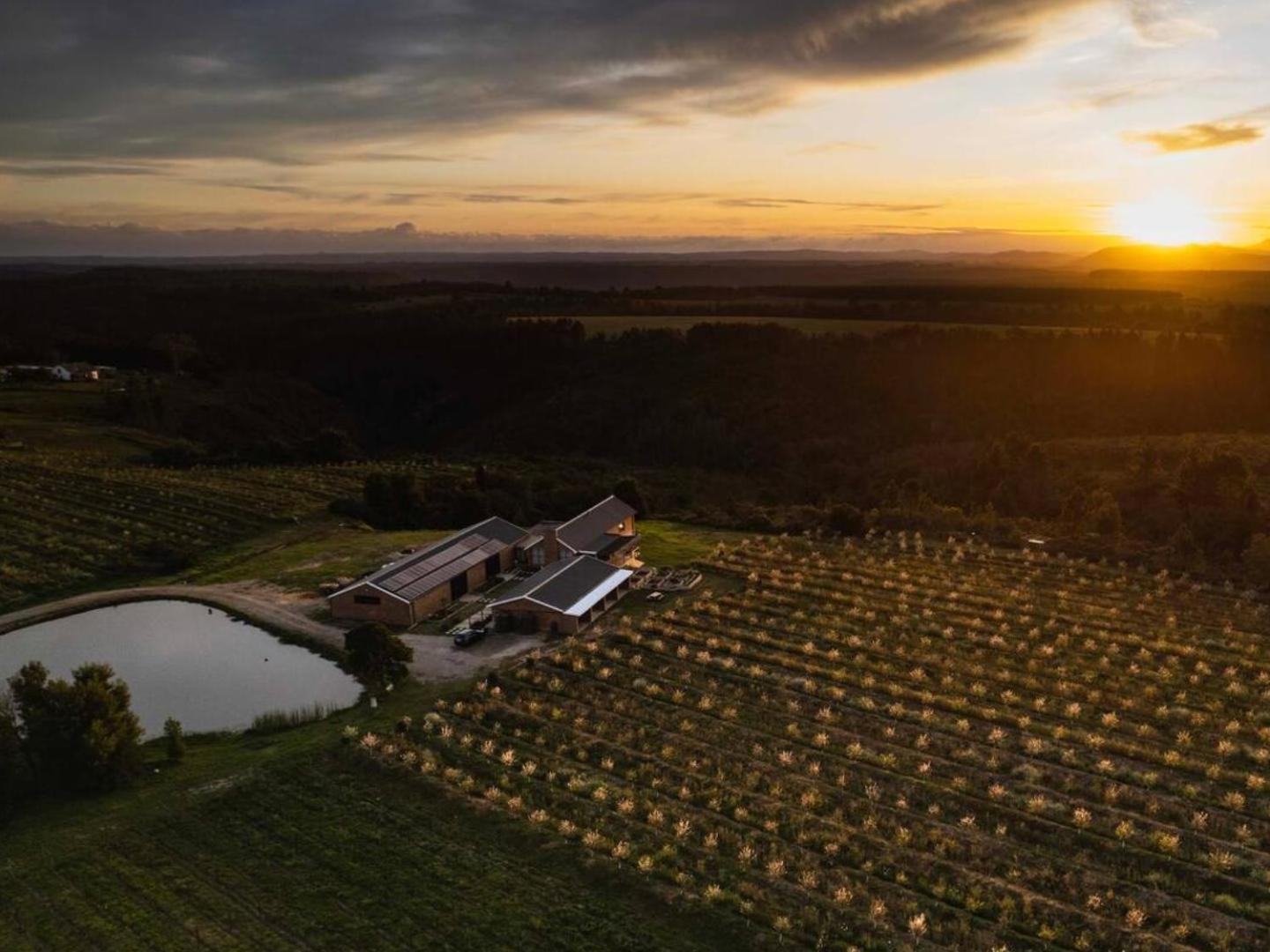 20 Good Summers Farm Stay The Crags Dış mekan fotoğraf